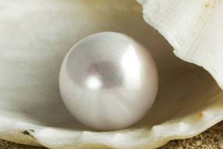 JEWELRY WITH PEARL
